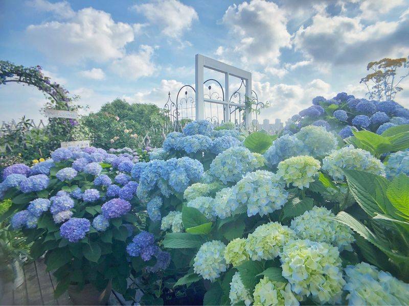 阳光房花坛植物种植