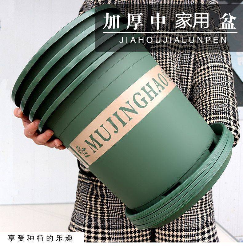 阳光房花坛植物种植