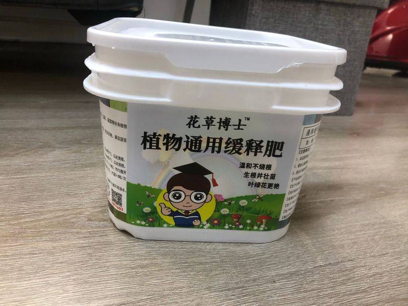 阳光房花坛植物种植