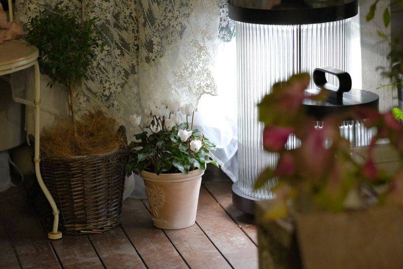 阳光房花坛植物种植