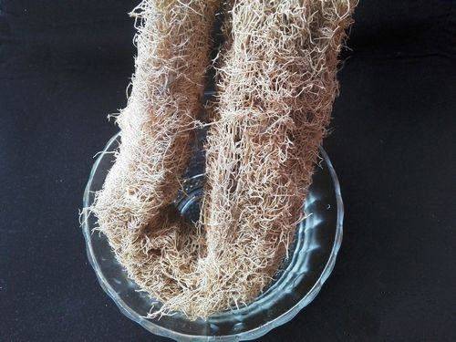 蘑菇怎么种植方法