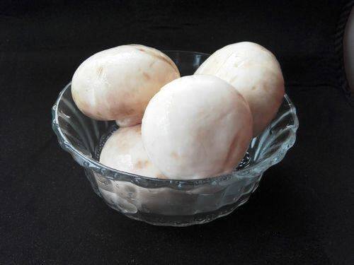 蘑菇怎么种植方法