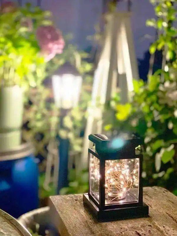 阳光房花坛植物种植