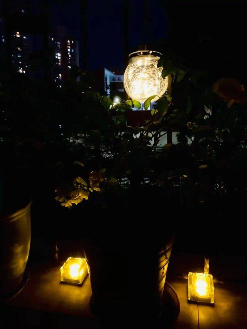 阳光房花坛植物种植