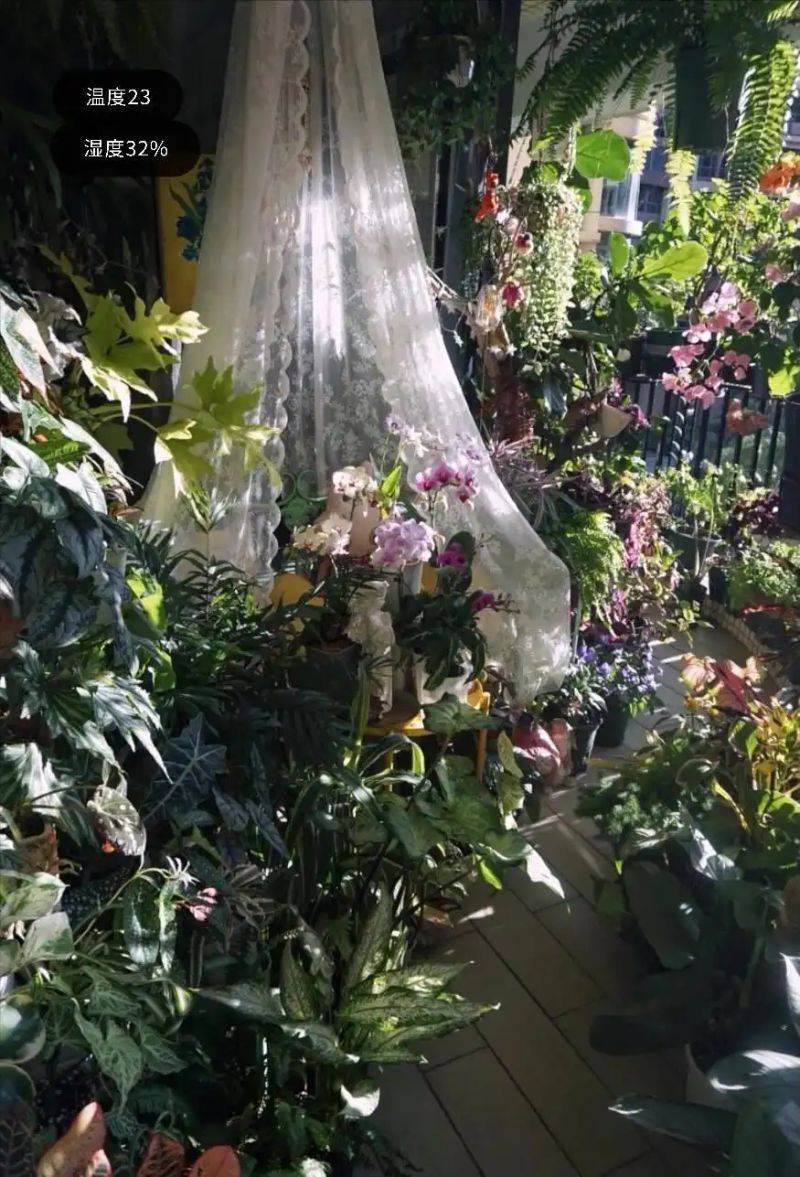 阳光房花坛植物种植