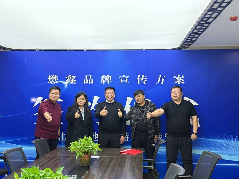 保定seo网站排名优化