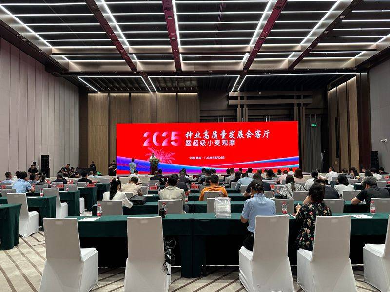 保定seo网站排名优化