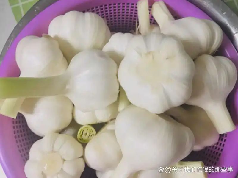 浙江土池腌糖蒜方法