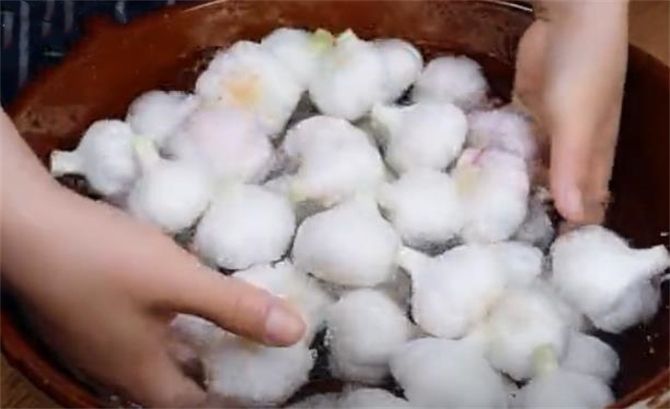 浙江土池腌糖蒜方法
