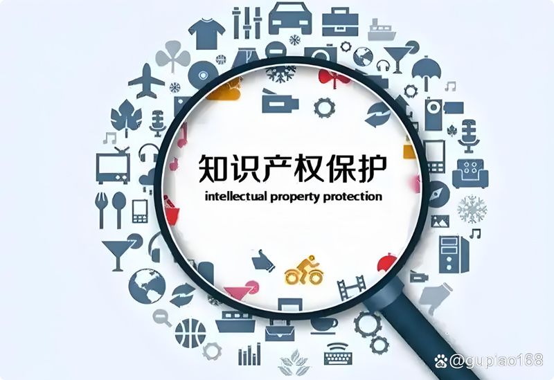 知识产权保险
