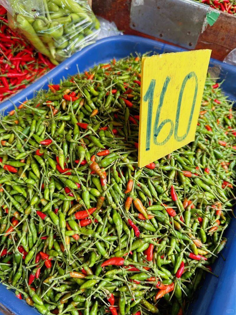 Indian pepper cultivation technology