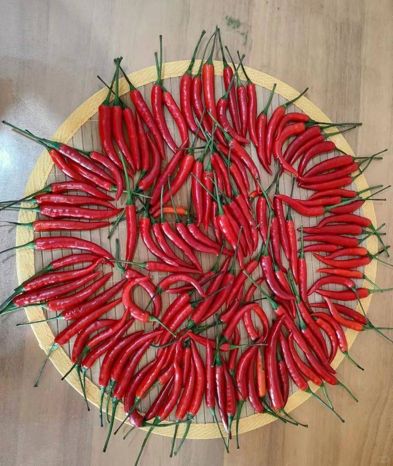 Indian pepper cultivation technology