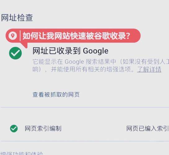 How to rank the site