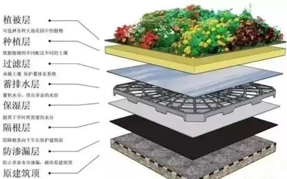 屋顶 绿化构造