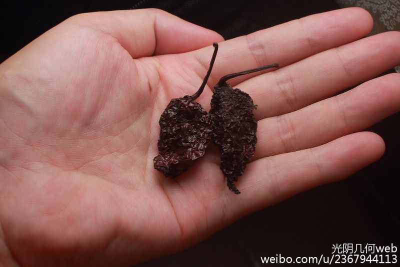 Indian pepper cultivation technology