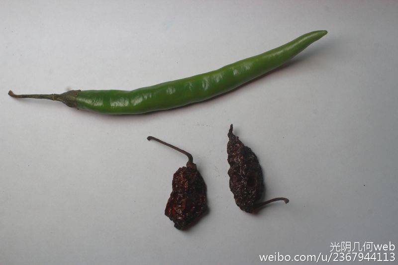 Indian pepper cultivation technology