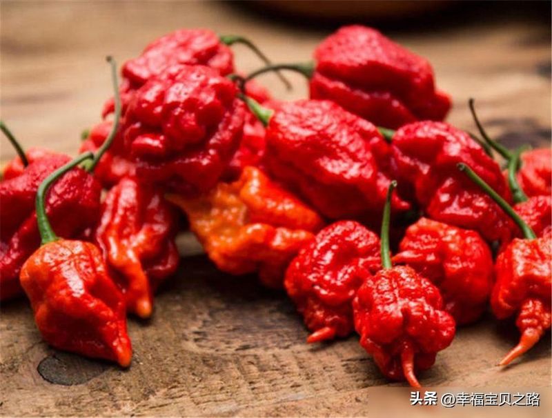 Indian pepper cultivation technology