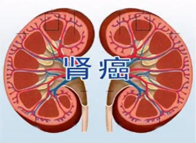 度冷丁镇痛作用的原理