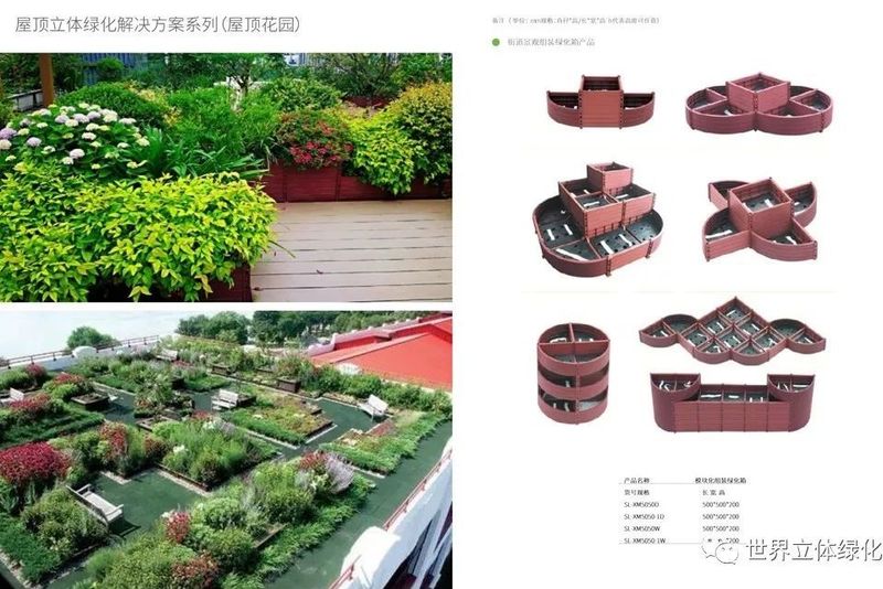 屋顶 绿化构造