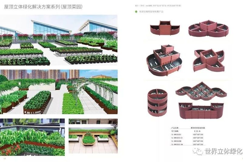 屋顶 绿化构造