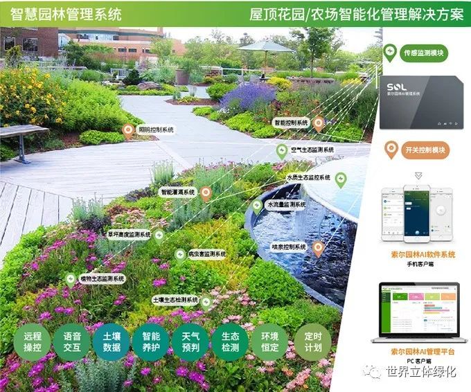 屋顶 绿化构造