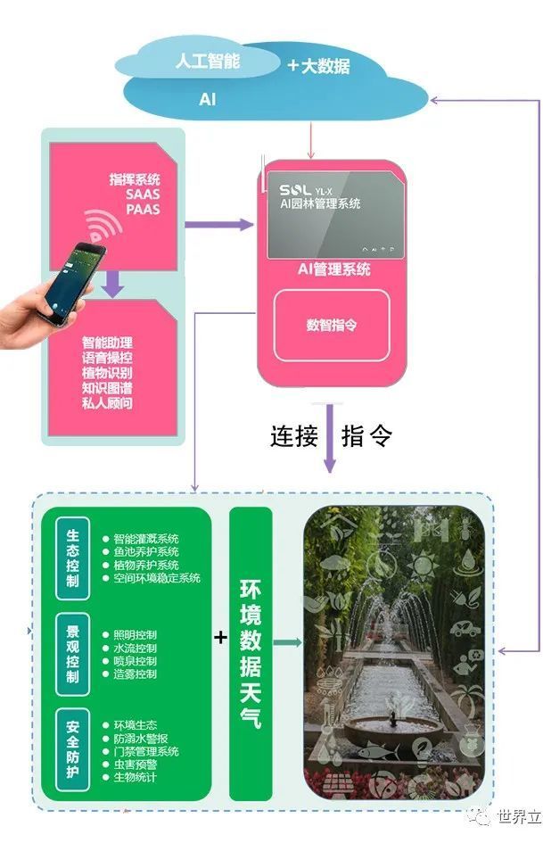 屋顶 绿化构造