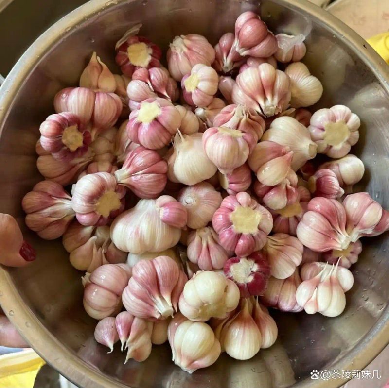 浙江土池腌糖蒜方法