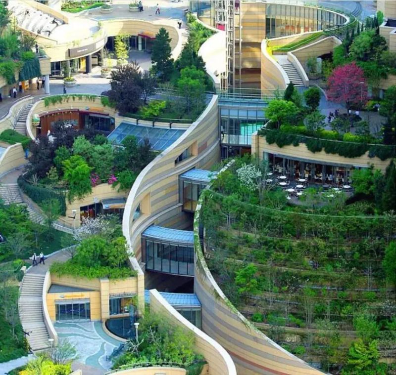 屋顶 绿化构造