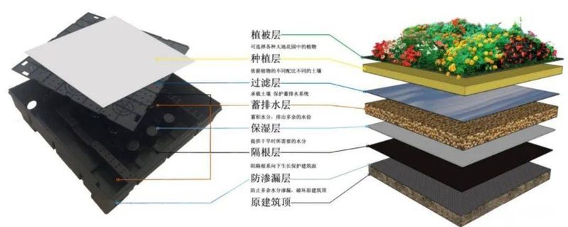屋顶 绿化构造