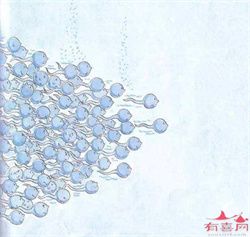 试管双胞胎经验