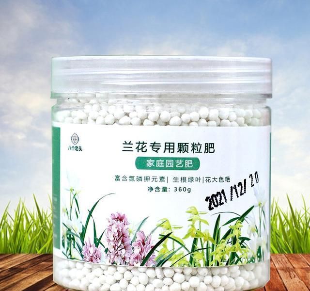 Evening orchid cultivation methods