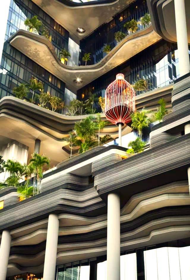 屋顶 绿化构造