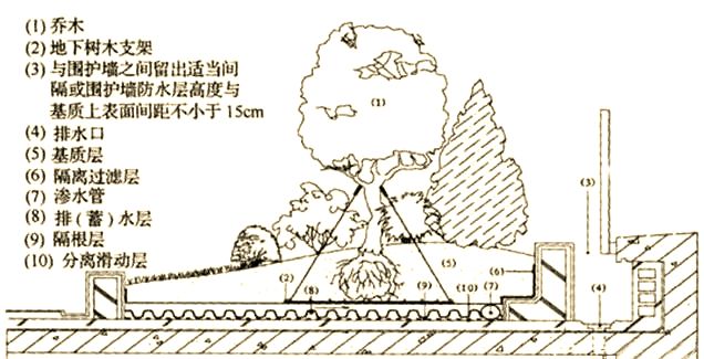屋顶 绿化构造