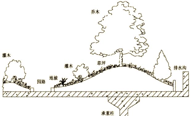 屋顶 绿化构造