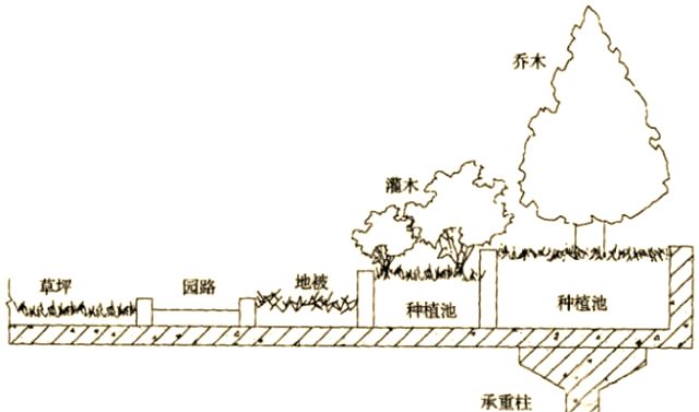 屋顶 绿化构造