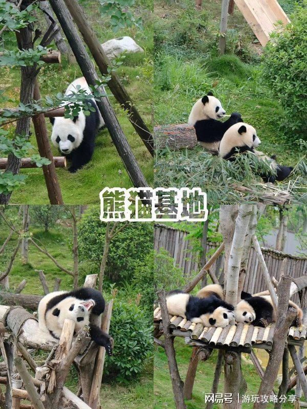 自驾游经验