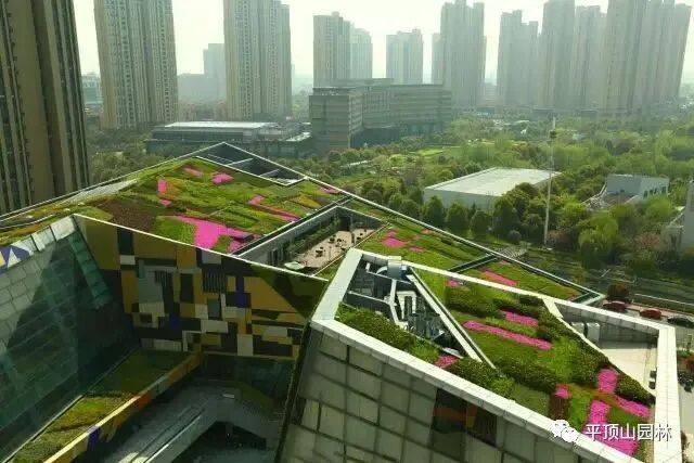 屋顶 绿化构造
