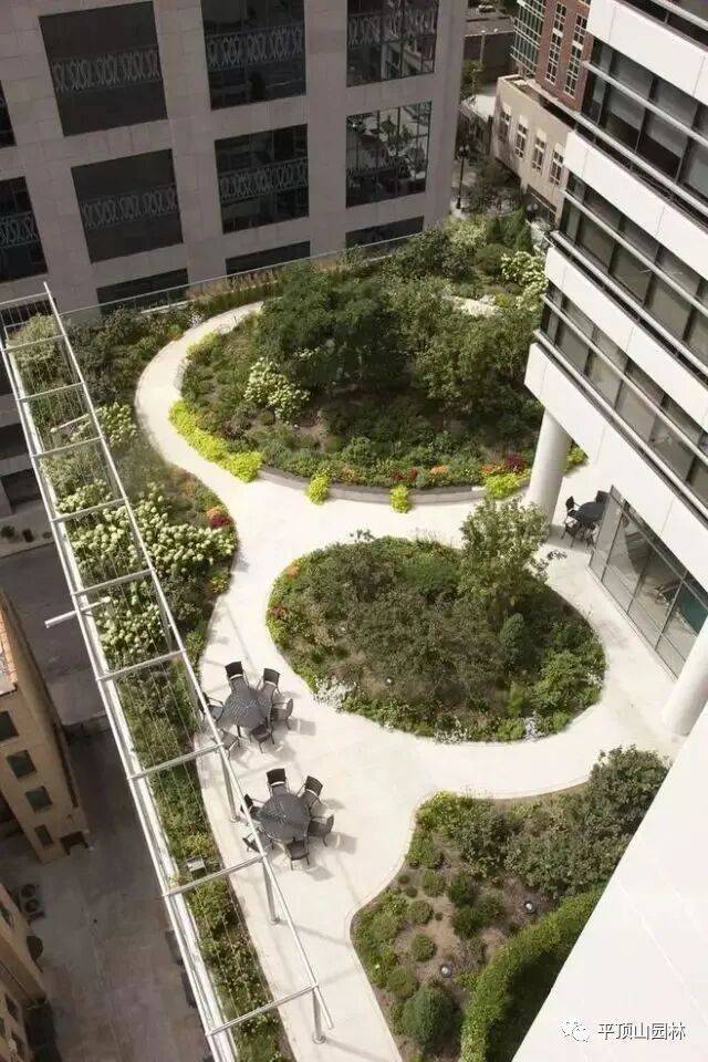 屋顶 绿化构造