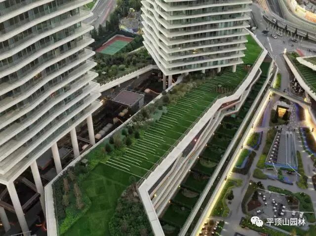 屋顶 绿化构造