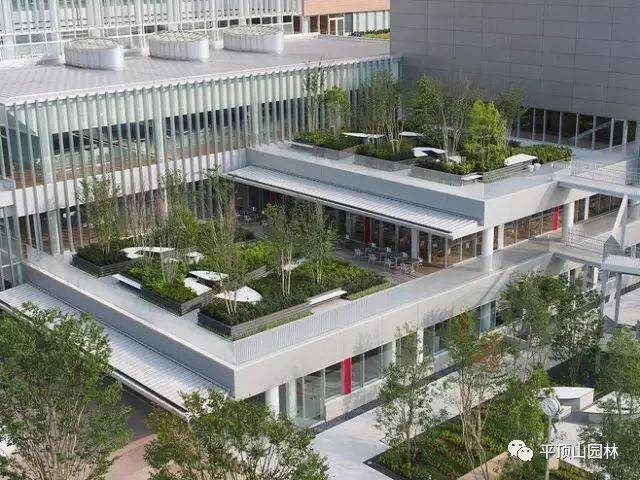 屋顶 绿化构造
