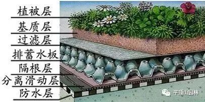 屋顶 绿化构造