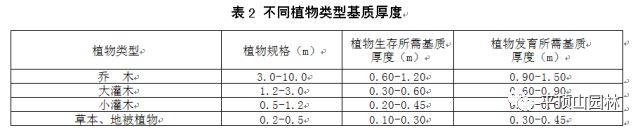 屋顶 绿化构造