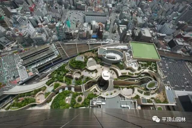 屋顶 绿化构造