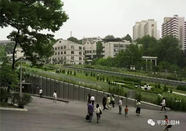 屋顶 绿化构造