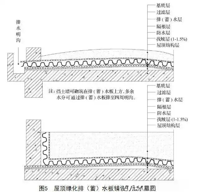 屋顶 绿化构造