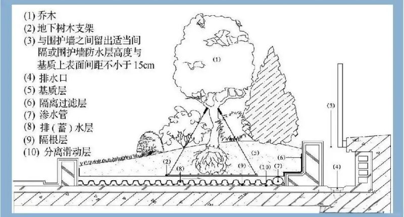 屋顶 绿化构造