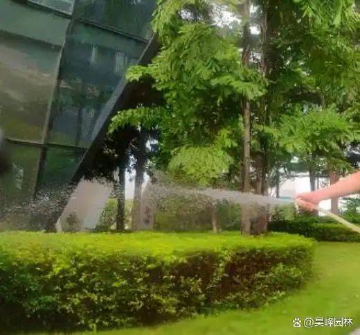 屋顶 绿化构造