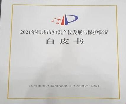 知识产权保险