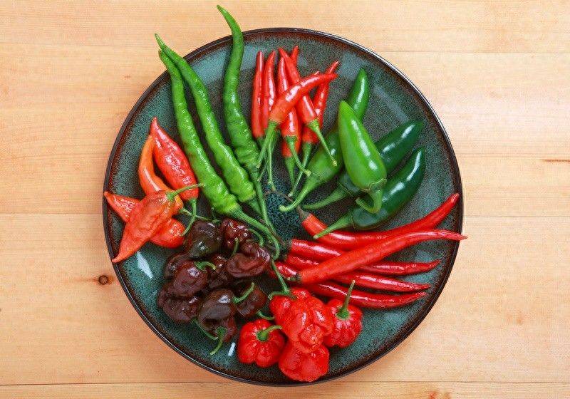 Indian pepper cultivation technology