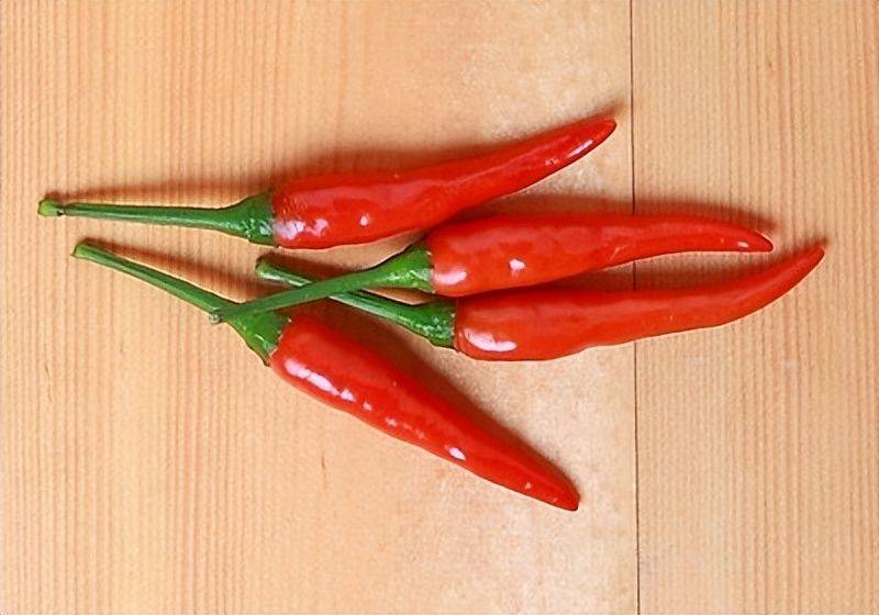 Indian pepper cultivation technology